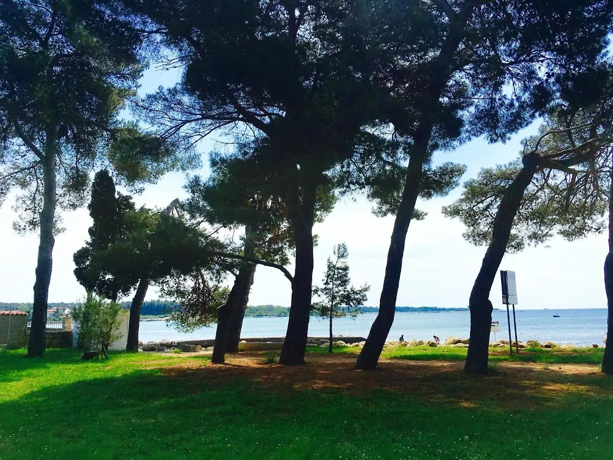 Apartment Anita Ουμάγκ